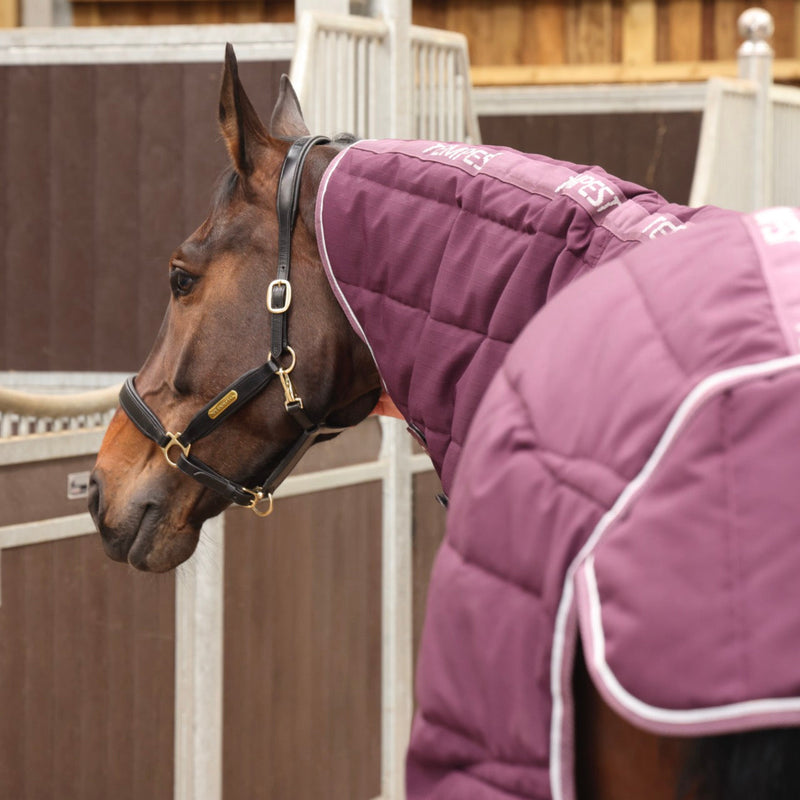Load image into Gallery viewer, 10468 - Tempest Original 300 Stable Rug &amp; Neck
