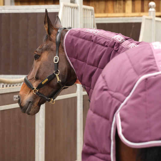 10468 - Tempest Original 300 Stable Rug & Neck