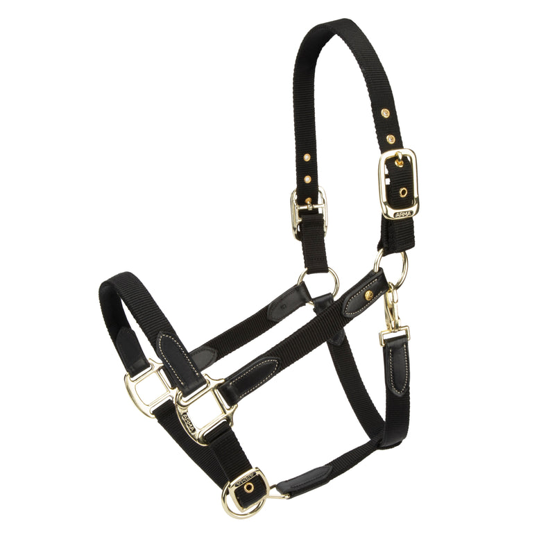 Load image into Gallery viewer, ARMA Porto Headcollar
