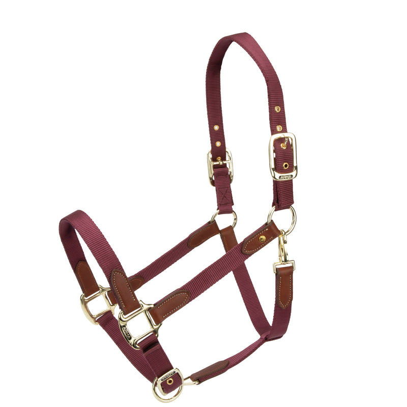Load image into Gallery viewer, ARMA Porto Headcollar
