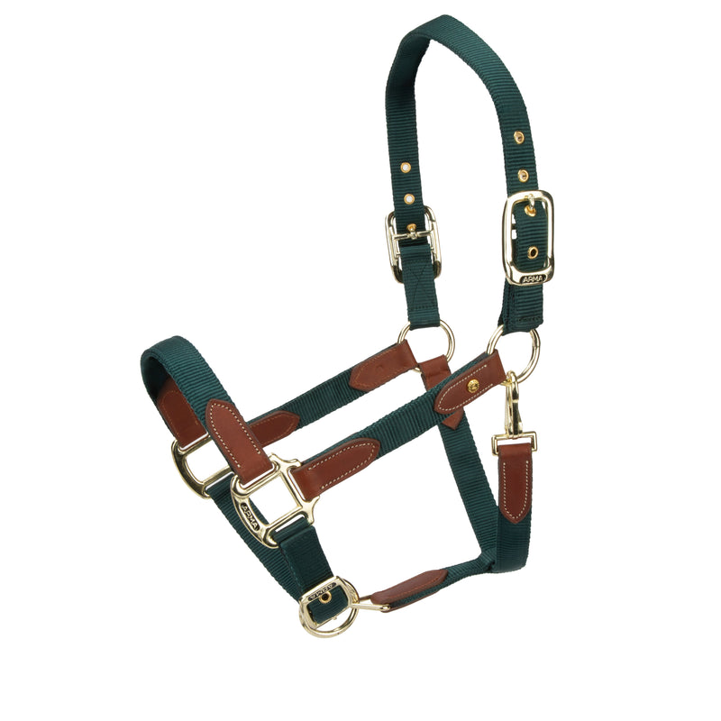 Load image into Gallery viewer, ARMA Porto Headcollar
