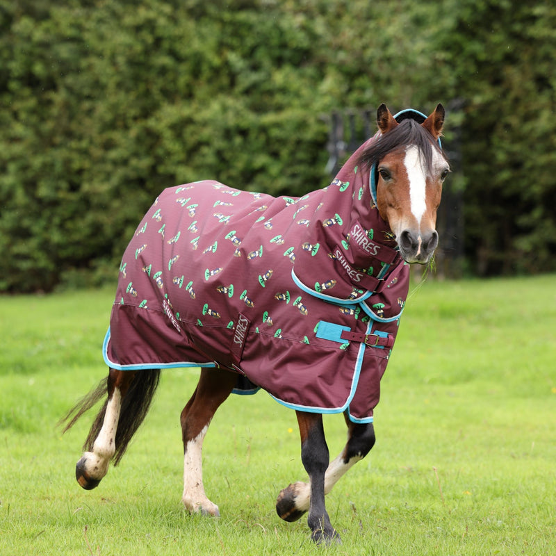 Load image into Gallery viewer, 10601 - Shires Winnie &amp; Me 200 Turnout Rug - Ashurst Equestrian &amp; Country
