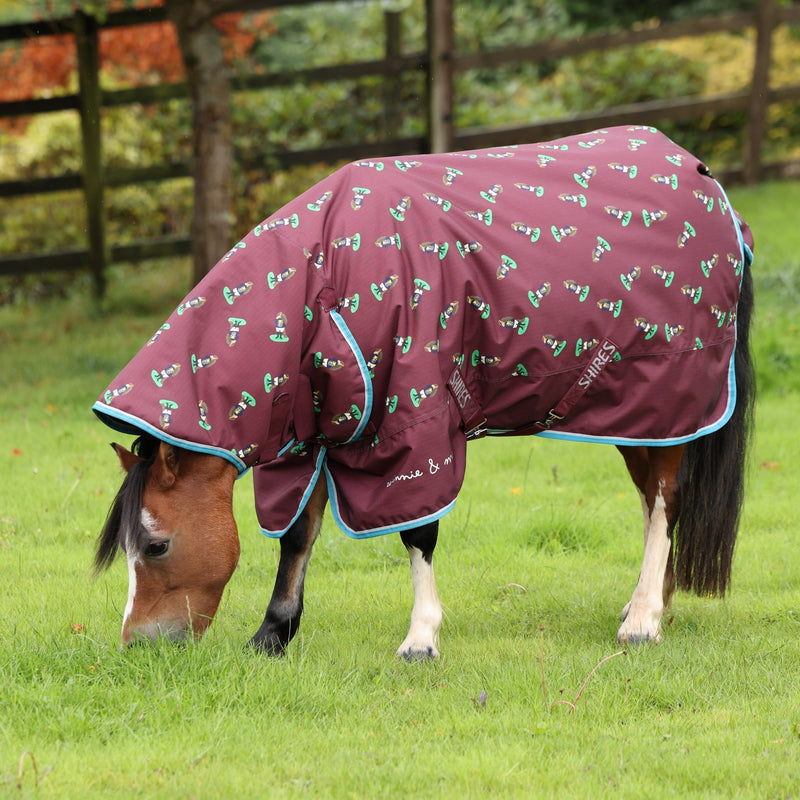 Load image into Gallery viewer, 10601 - Shires Winnie &amp; Me 200 Turnout Rug - Ashurst Equestrian &amp; Country

