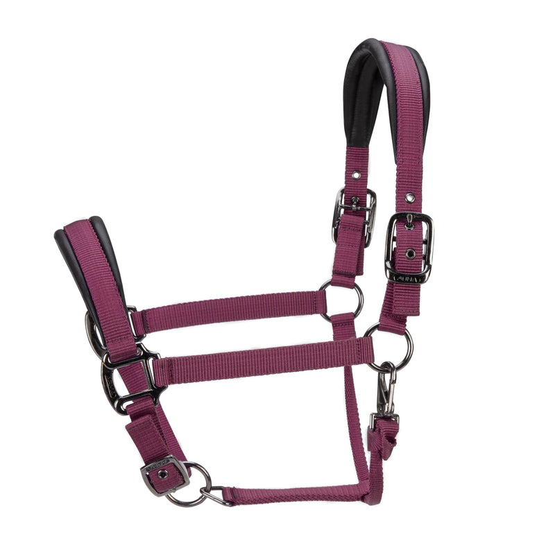 Load image into Gallery viewer, ARMA Pro Padded Headcollar
