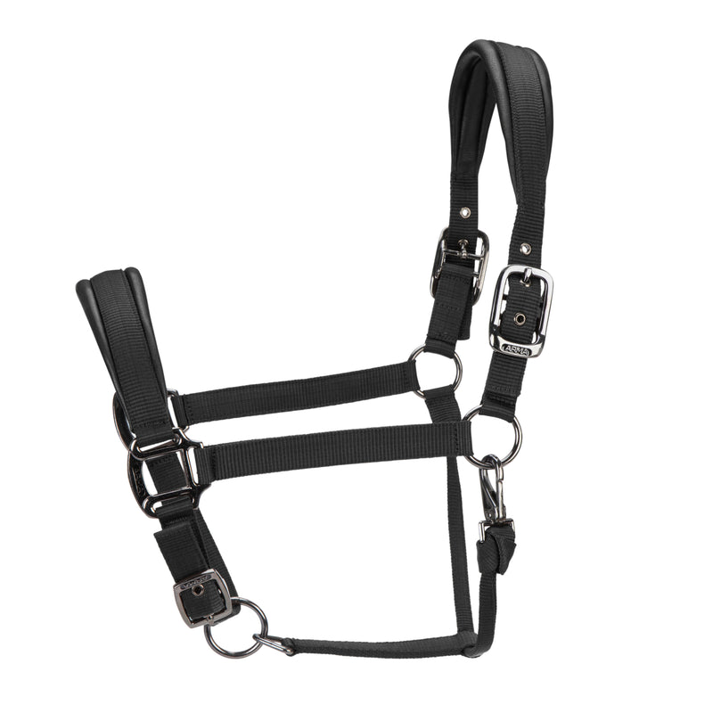 Load image into Gallery viewer, ARMA Pro Padded Headcollar

