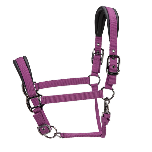 ARMA Pro Padded Headcollar