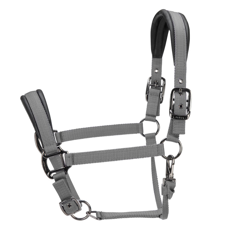 Load image into Gallery viewer, ARMA Pro Padded Headcollar
