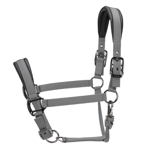 ARMA Pro Padded Headcollar