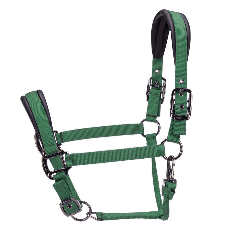 Load image into Gallery viewer, ARMA Pro Padded Headcollar
