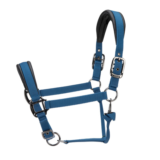 ARMA Pro Padded Headcollar