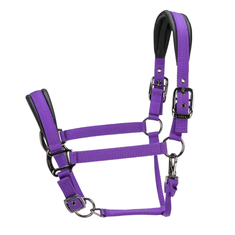 Load image into Gallery viewer, ARMA Pro Padded Headcollar
