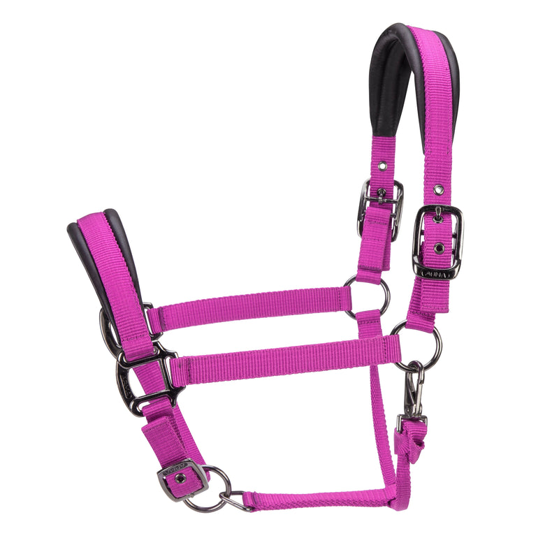 Load image into Gallery viewer, ARMA Pro Padded Headcollar
