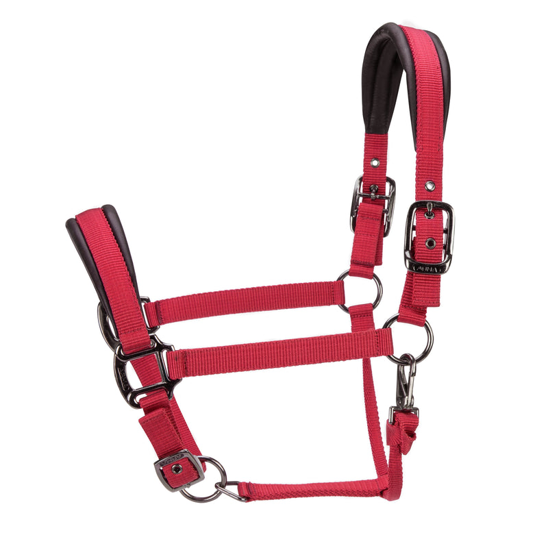 Load image into Gallery viewer, ARMA Pro Padded Headcollar
