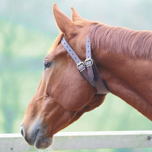 Shires Anti-Crib Collar