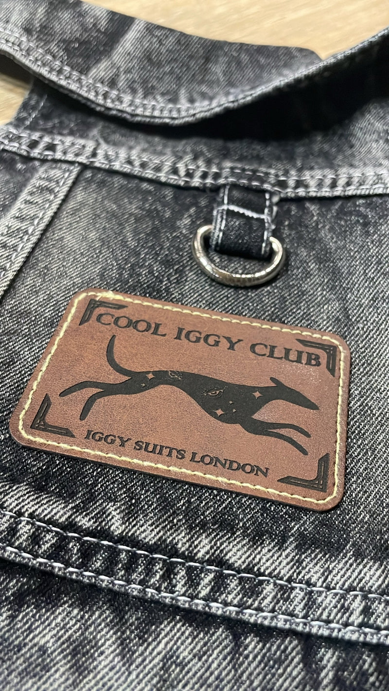 Load image into Gallery viewer, Denim Jacket - Cool Iggy Club
