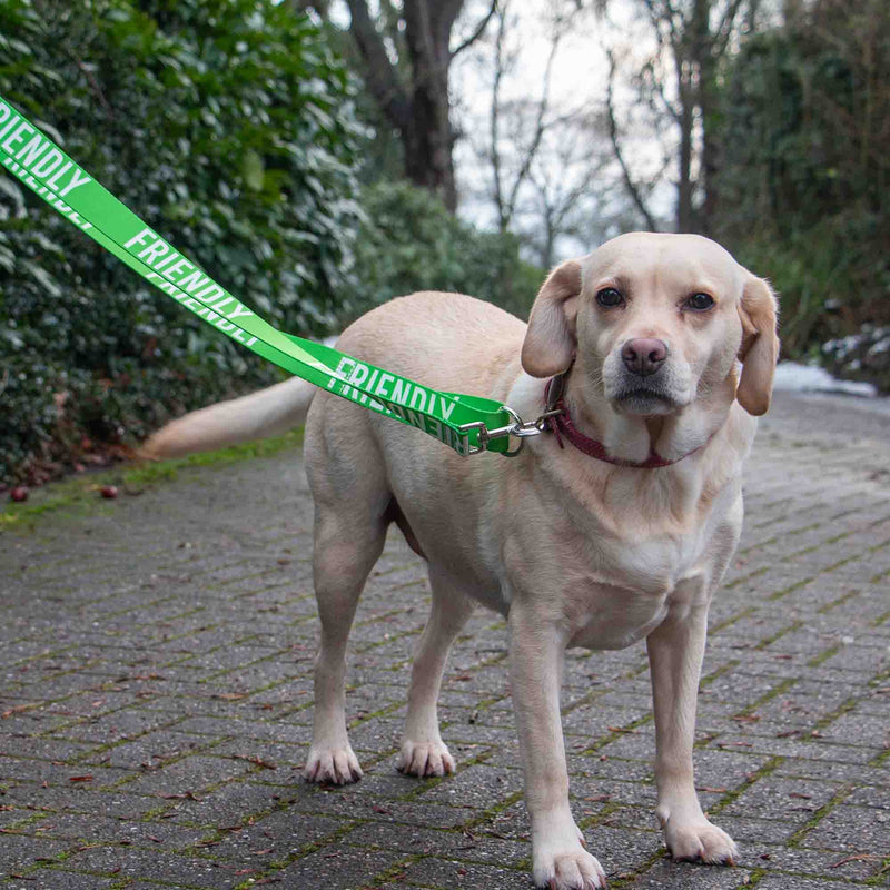 Load image into Gallery viewer, Awareness Training &amp; Safety Dog lead 1.5m  'FRIENDLY'
