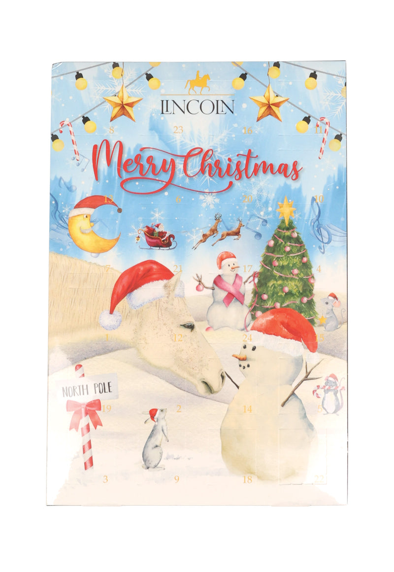 Load image into Gallery viewer, Imperfects Natural Sheepskin Pet Rugs Medium
