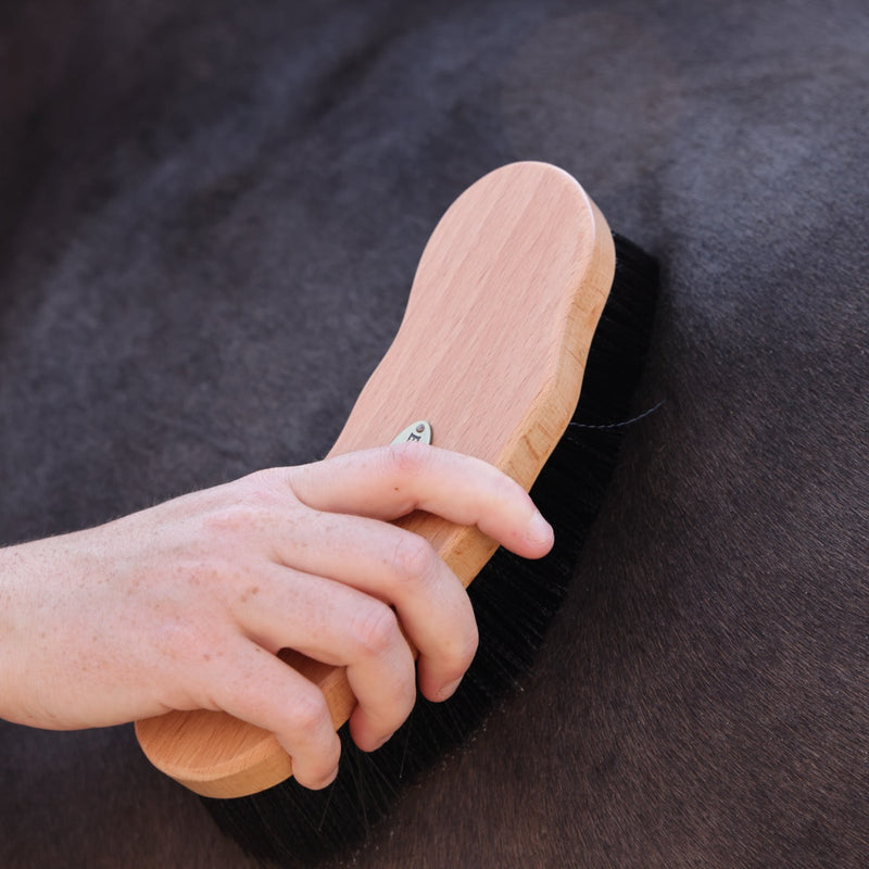 Load image into Gallery viewer, EZI-GROOM Premium Dandy Brush
