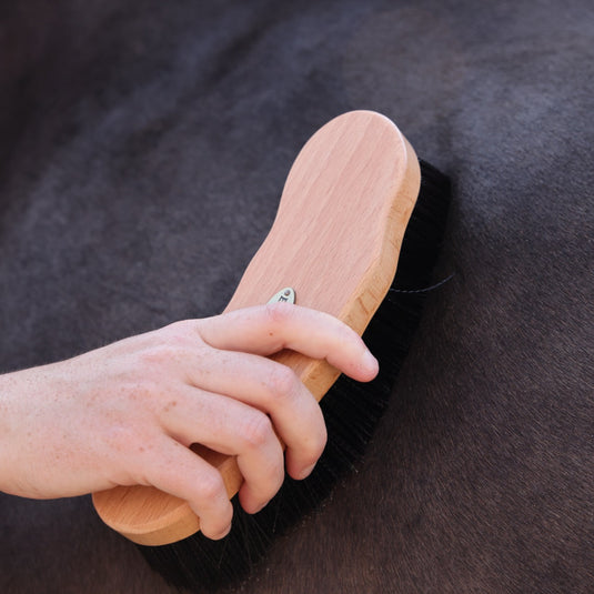 EZI-GROOM Premium Dandy Brush