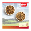 Chappie Favourites Tins 412g x 6pk