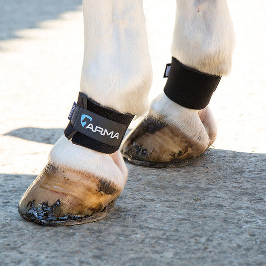ARMA Pastern Wraps