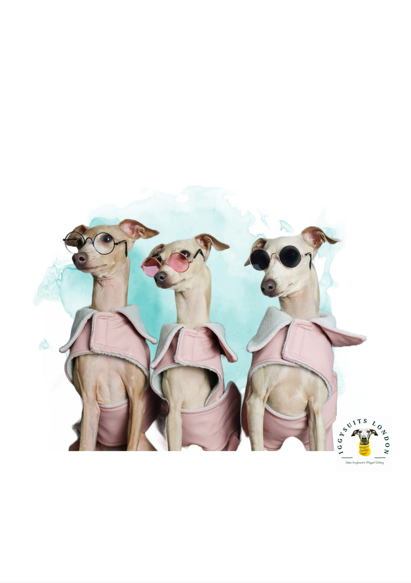 Load image into Gallery viewer, Rain Mac - Blush Pink Submarines
