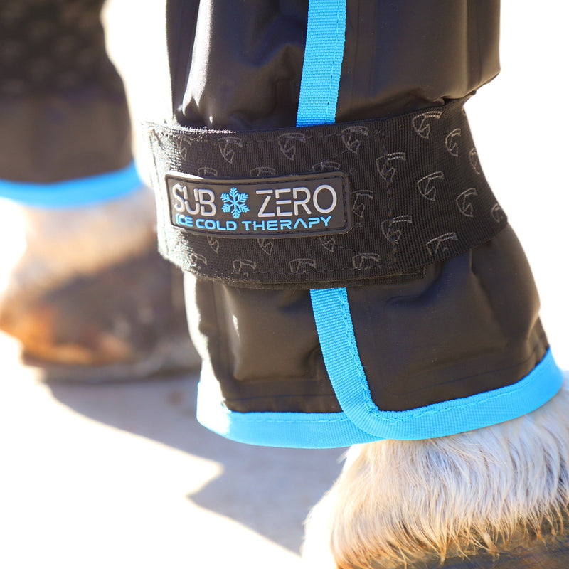 Load image into Gallery viewer, ARMA SubZero Ice Boots
