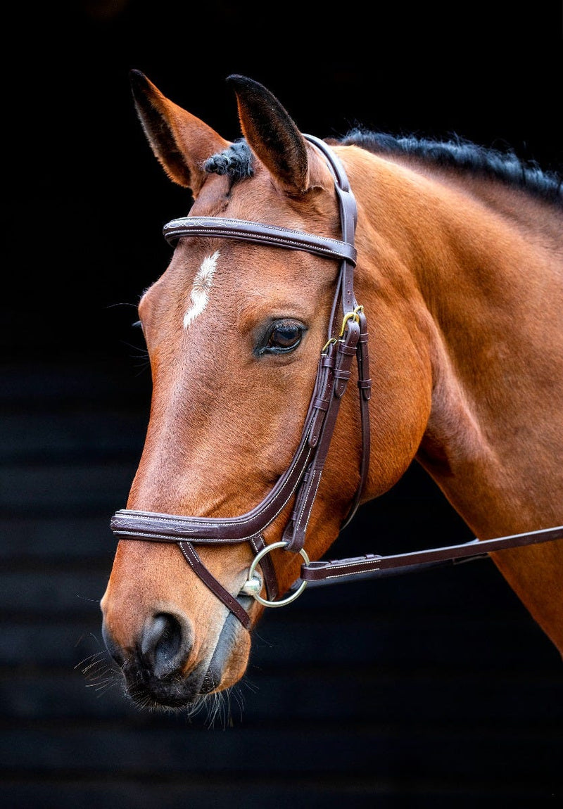 Load image into Gallery viewer, Salisbury Buckingham Bridle
