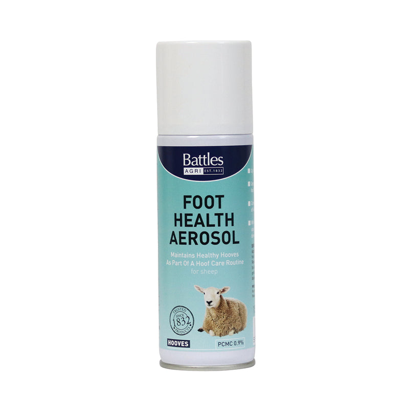 Load image into Gallery viewer, Battles Foot Health Aerosol Default Title / 150g
