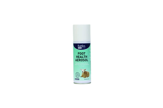 Battles Foot Health Aerosol Default Title / 150g