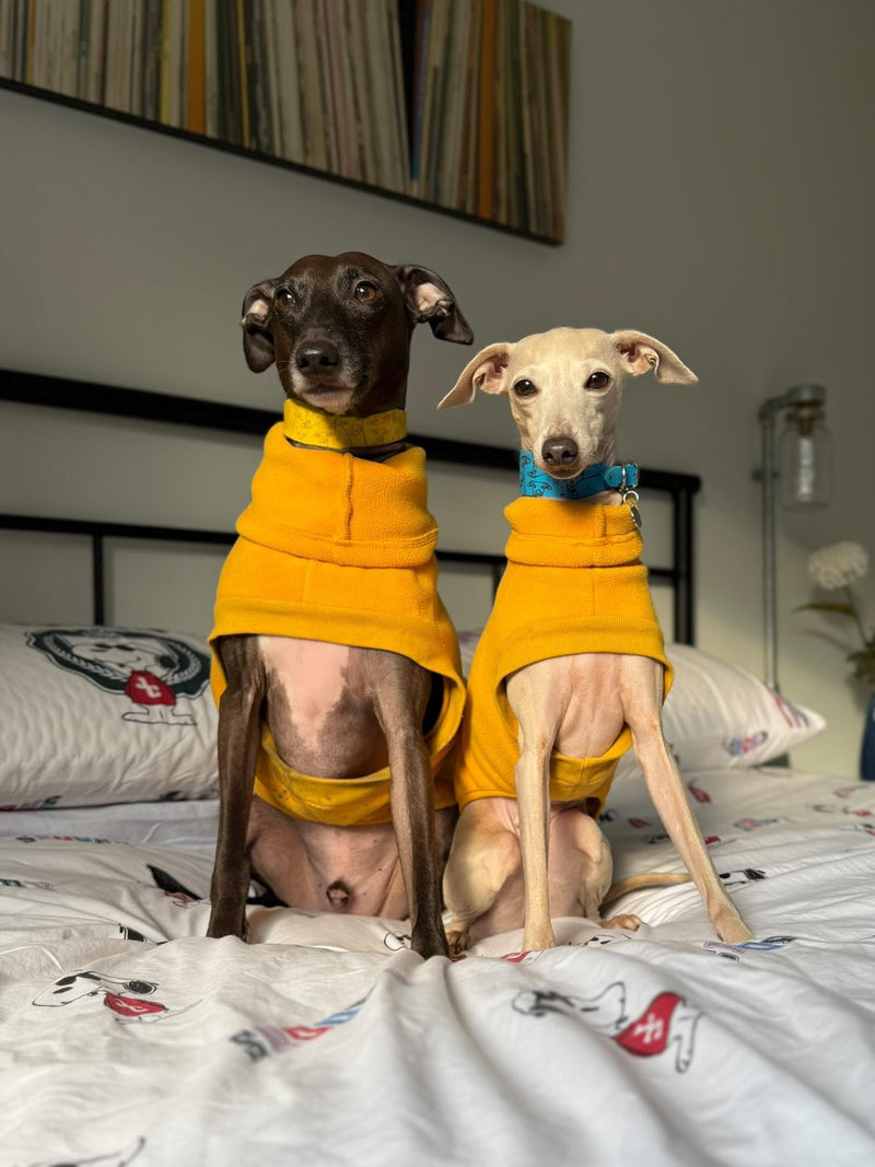 Load image into Gallery viewer, Open-Leg Fleece Vest - Yellow
