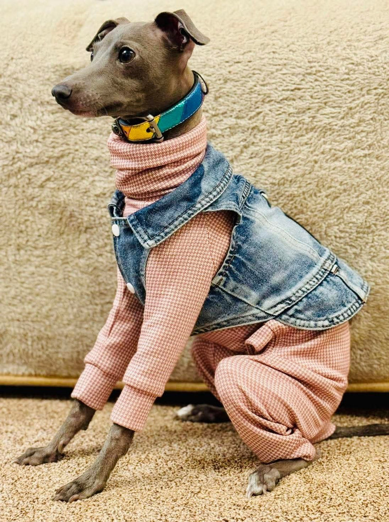 Load image into Gallery viewer, Denim Jacket - Cool Iggy Club
