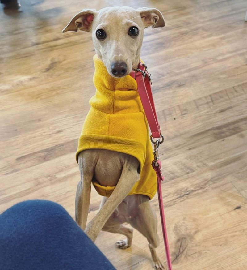 Load image into Gallery viewer, Open-Leg Fleece Vest - Yellow
