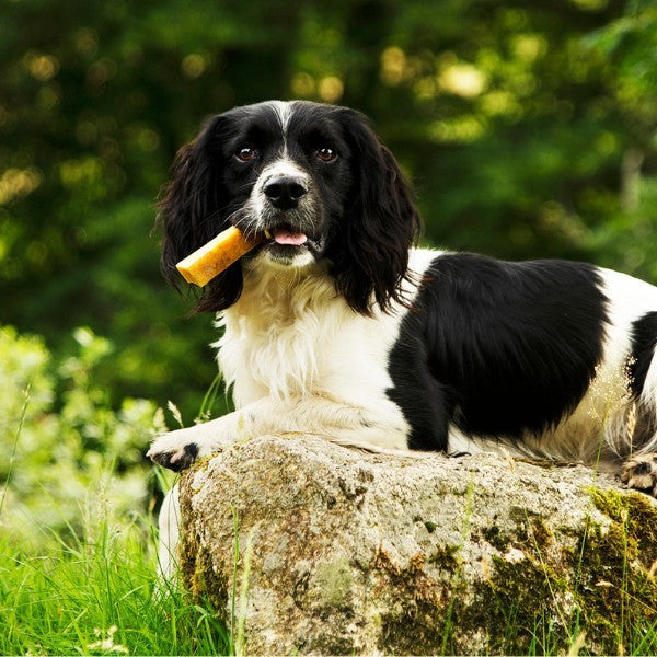 Load image into Gallery viewer, Petello Yak Cheese Dog Chew 115g
