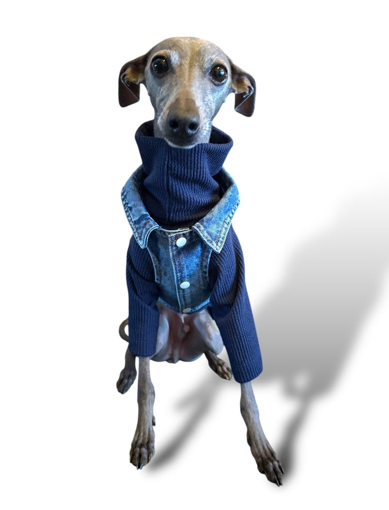 Load image into Gallery viewer, Denim Jacket - Cool Iggy Club
