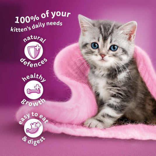 WHISKAS Kitten 2-12 Months Mixed Menu in Jelly 12 x 85g