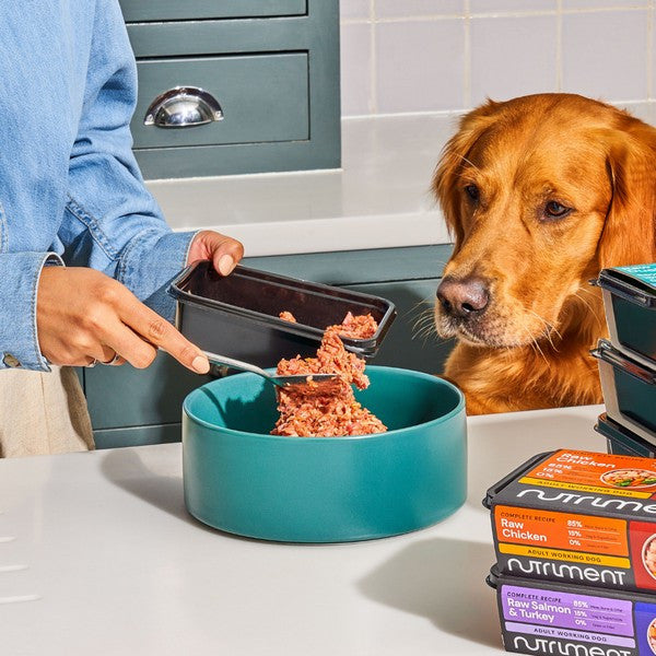 Load image into Gallery viewer, Nutriment Dog Frozen Chicken 500g
