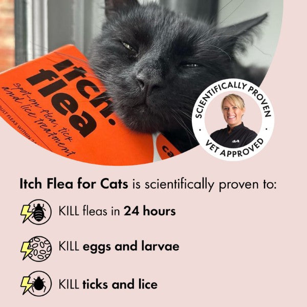 Load image into Gallery viewer, Itch Flea Spot On for Cats - 3 Pipettes
