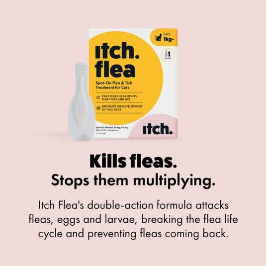 Itch Flea Spot On for Cats - 3 Pipettes