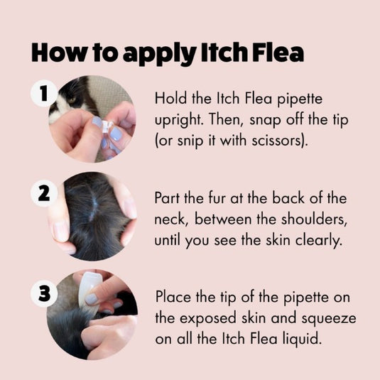 Itch Flea Spot On for Cats - 3 Pipettes