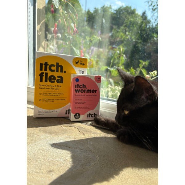 Load image into Gallery viewer, Itch Flea Spot On for Cats - 3 Pipettes
