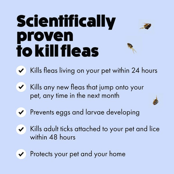 Load image into Gallery viewer, Itch Flea Spot On for Large Dogs 20-40kg - 3 Pipettes
