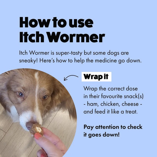 Itch Wormer Tablets for Dogs 3-20kg - 2 Pack
