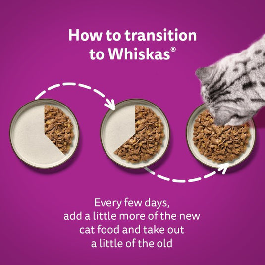 WHISKAS 1+ Mixed Menu in Jelly Cat Pouches 40 x 85g
