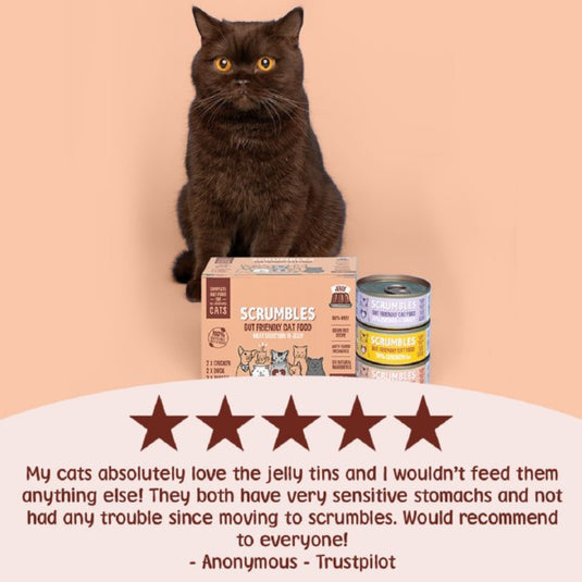 Scrumbles Wet Cat Food in Jelly Meat Selection 6 x 85g