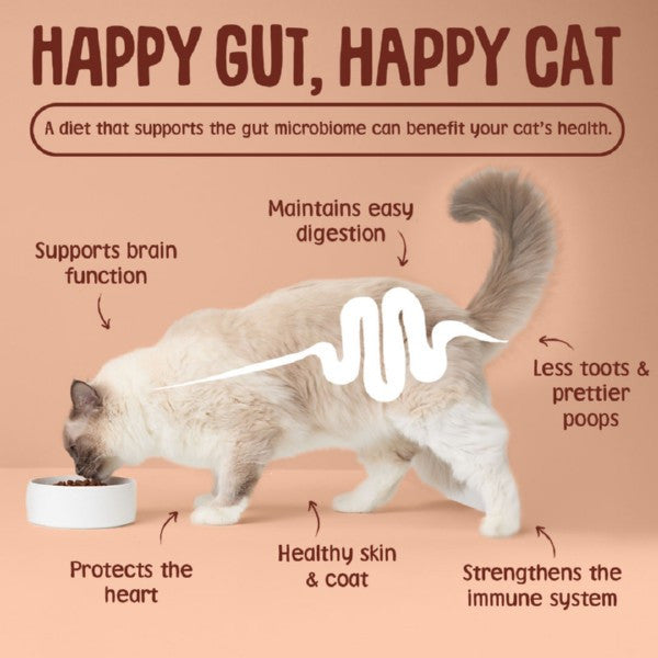 Load image into Gallery viewer, Scrumbles Wet Cat Food in Jelly Meat Selection 6 x 85g

