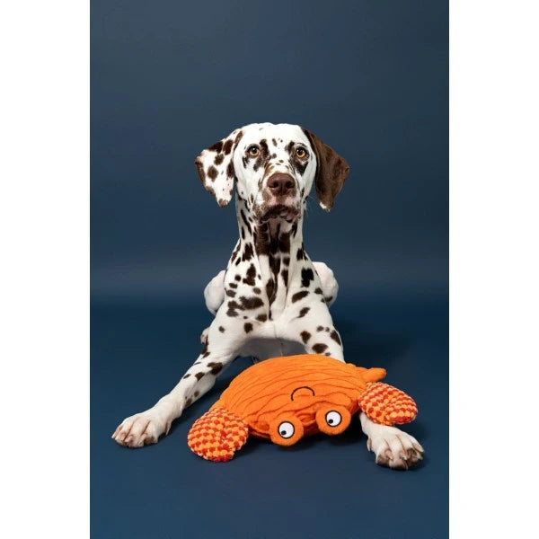 Load image into Gallery viewer, Animal Instincts Sustainables Sea Life Crumpled Crab
