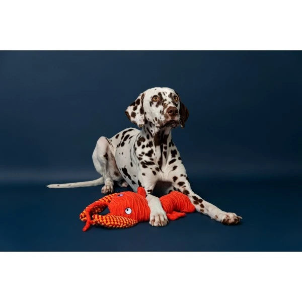 Load image into Gallery viewer, Animal Instincts Sustainables Sea Life Crumpled Lobster

