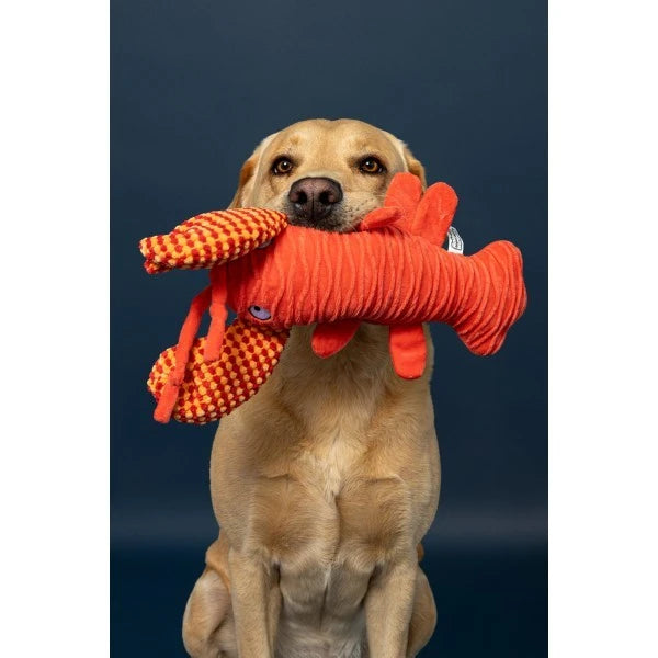 Load image into Gallery viewer, Animal Instincts Sustainables Sea Life Crumpled Lobster
