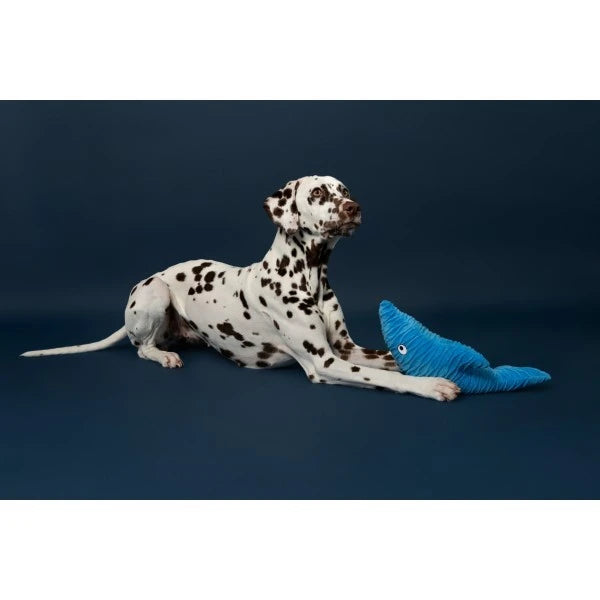 Load image into Gallery viewer, Animal Instincts Sustainables Sea Life Crumpled Shark

